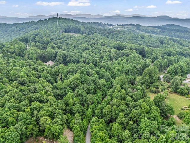 168 Tarnhill Drive, Flat Rock, NC 28731