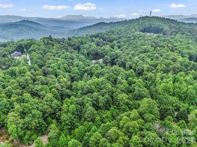 168 Tarnhill Drive, Flat Rock, NC 28731