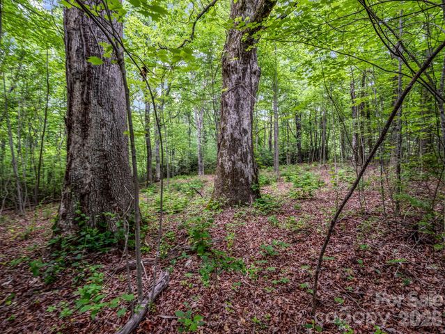 168 Tarnhill Drive, Flat Rock, NC 28731