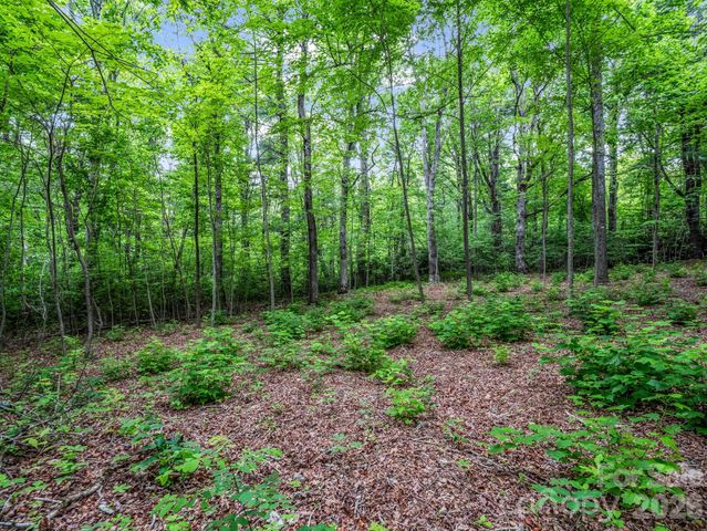 168 Tarnhill Drive, Flat Rock, NC 28731
