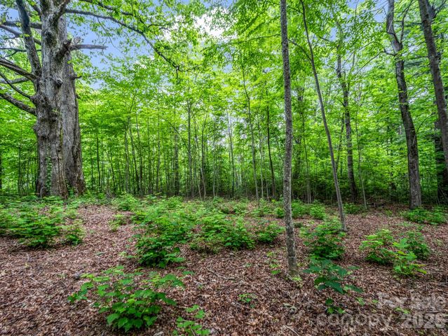 168 Tarnhill Drive, Flat Rock, NC 28731