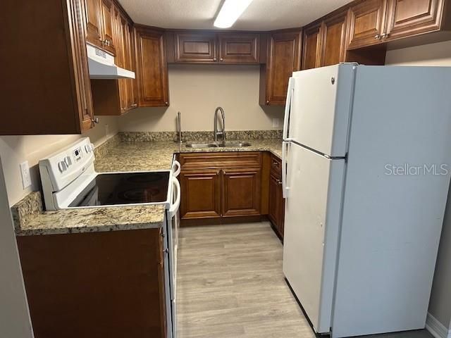 206 BEVERLY BOULEVARD, Brandon, FL 33511