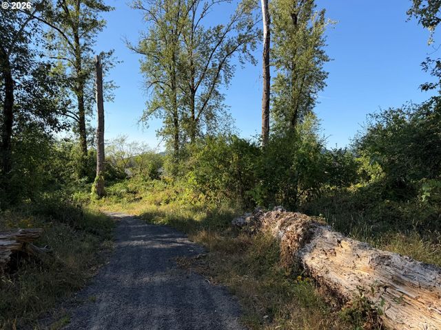 175 COHO Loop, Woodland, WA 98674