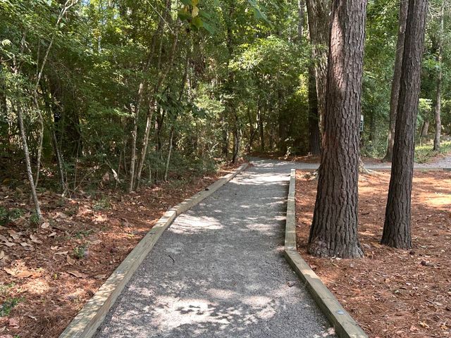 3009 Monhegan Way, Mount Pleasant, SC 29466