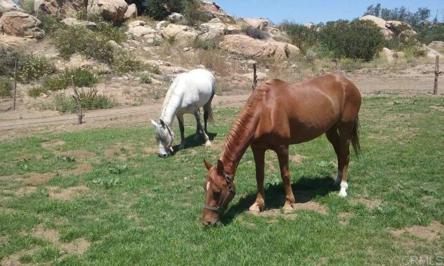 6490 Rainbow Heights Road, Fallbrook, CA 92028