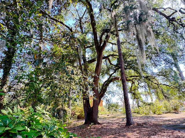 800 Hampton Street, Walterboro, SC 29488