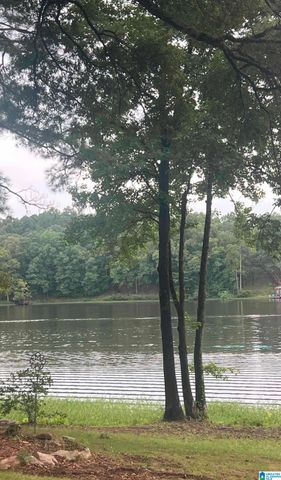 13520 SKI LAKE ROAD, Mccalla, AL 35111