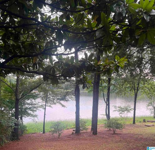 13520 SKI LAKE ROAD, Mccalla, AL 35111