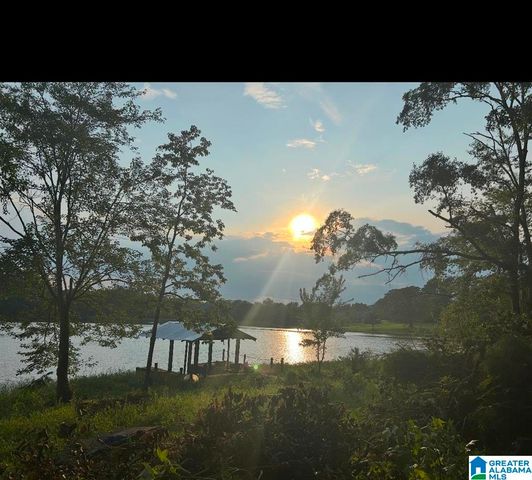 13520 SKI LAKE ROAD, Mccalla, AL 35111