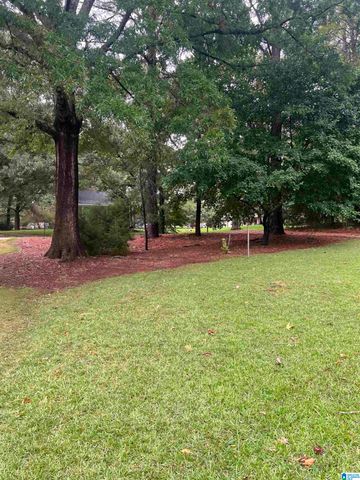 13520 SKI LAKE ROAD, Mccalla, AL 35111