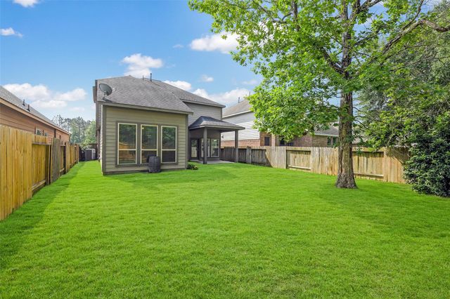 218 Kinnerly Peak Place, Montgomery, TX 77316