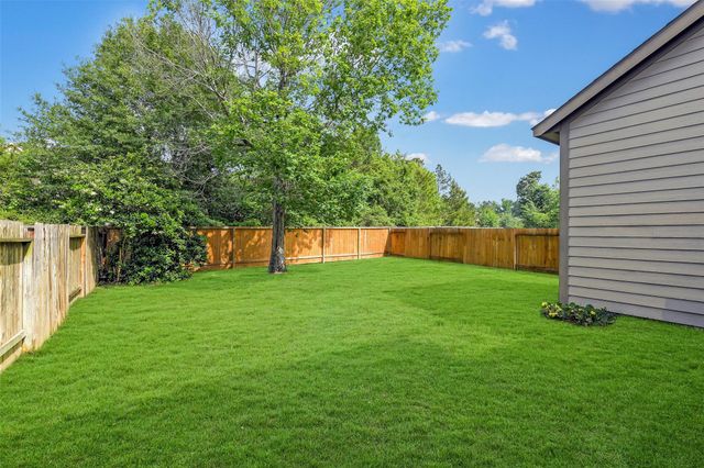 218 Kinnerly Peak Place, Montgomery, TX 77316