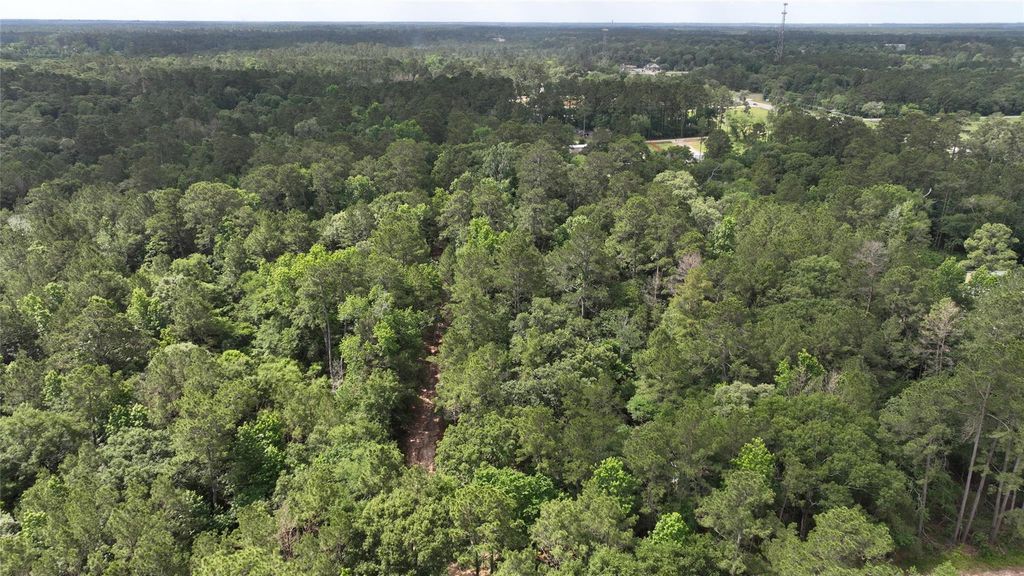0 Todd Mission Drive, Plantersville, TX 77363