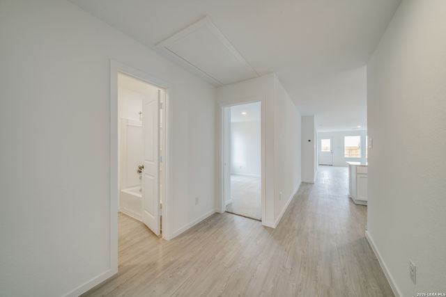 11621 Dog Rose, Converse, TX 78109