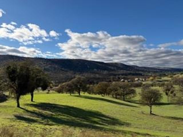 184 Quail Creek Ter, Copperopolis, CA 95228