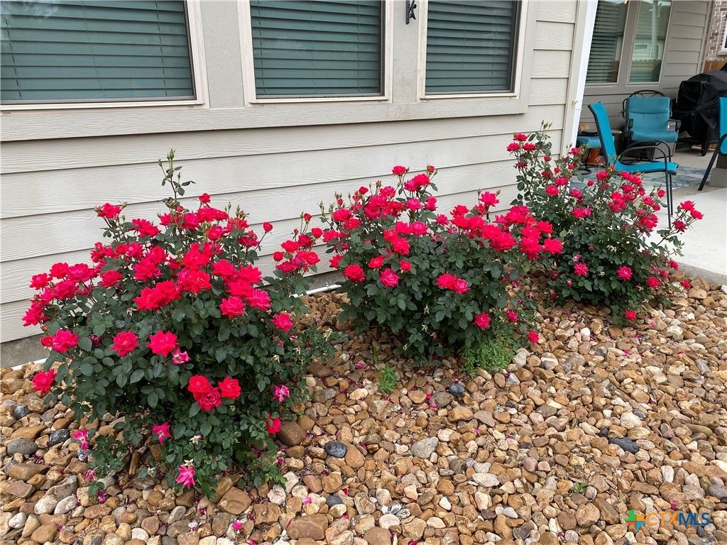 Image 29 of property listing at 2931 Aller, New Braunfels, TX 78130