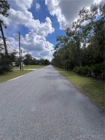 1318 S Palm Avenue, Homosassa, FL 34448