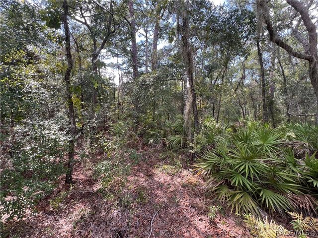 1318 S Palm Avenue, Homosassa, FL 34448