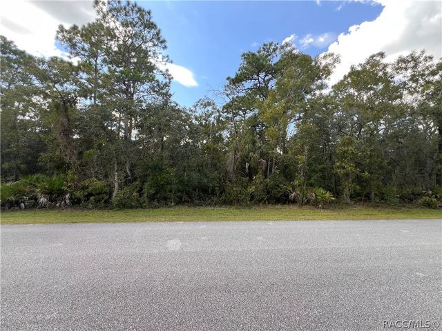 1318 S Palm Avenue, Homosassa, FL 34448