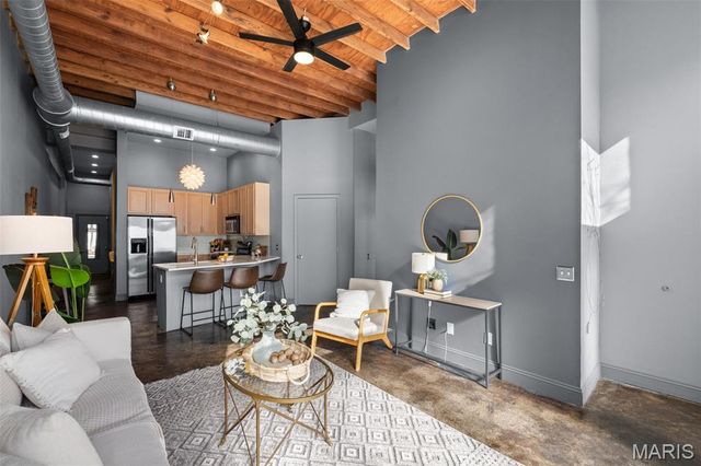 3217 Roger Place, St Louis, MO 63116