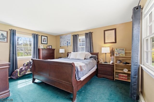 3 Alder Dr, Sparta Twp., NJ 07871