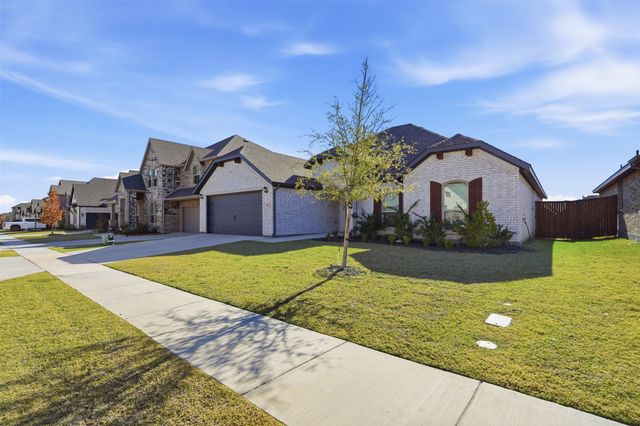 1027 Moss Grove Trail, Justin, TX 76247