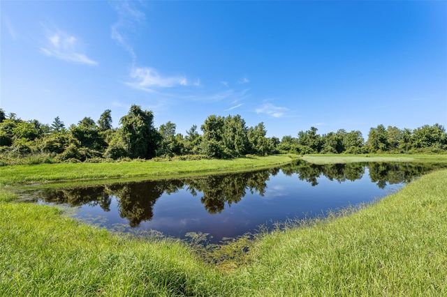19002 NARIMORE DRIVE, Land O Lakes, FL 34638