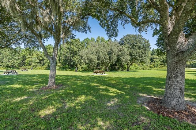 19002 NARIMORE DRIVE, Land O Lakes, FL 34638
