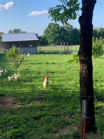 201 May Pop Lane, Marshall, AR 72650