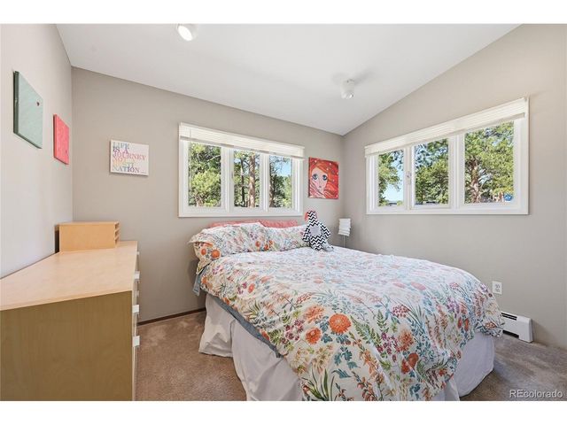 31347 Tamarisk Ln, Evergreen, CO 80439