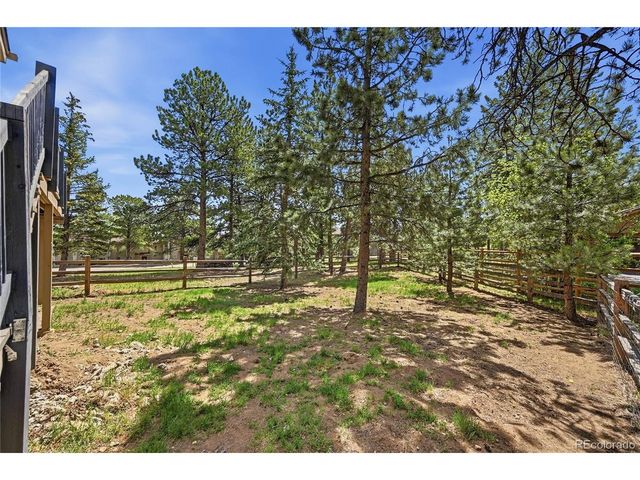 31347 Tamarisk Ln, Evergreen, CO 80439