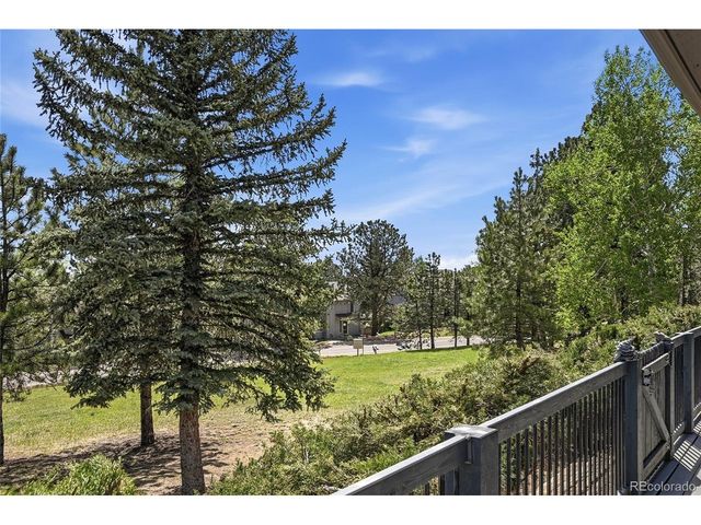 31347 Tamarisk Ln, Evergreen, CO 80439
