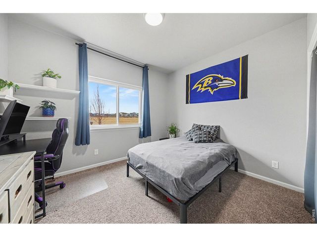 1194 Sunrise Cir, Milliken, CO 80543