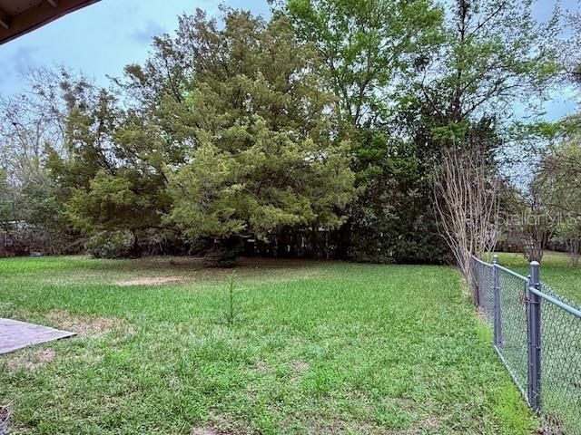 215 NW 8TH STREET, Williston, FL 32696