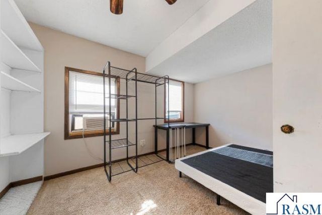 109 Florence Street, Mankato, MN 56001