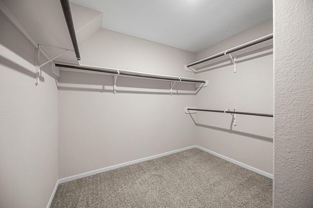 8014 Ecru Lane, Rosharon, TX 77583