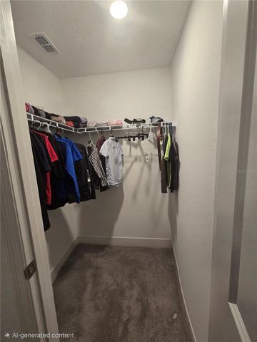 13337 SUNSET SAPPHIRE COURT, Parrish, FL 34219