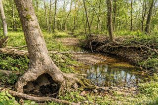 00 Hwy 19 -Leweke Lane, Hermann, MO 65041