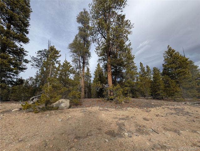 179 Cedar Drive, Twin Lakes, CO 80461