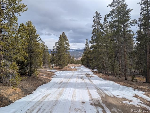 179 Cedar Drive, Twin Lakes, CO 80461