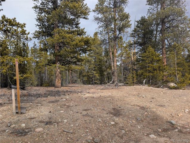 179 Cedar Drive, Twin Lakes, CO 80461