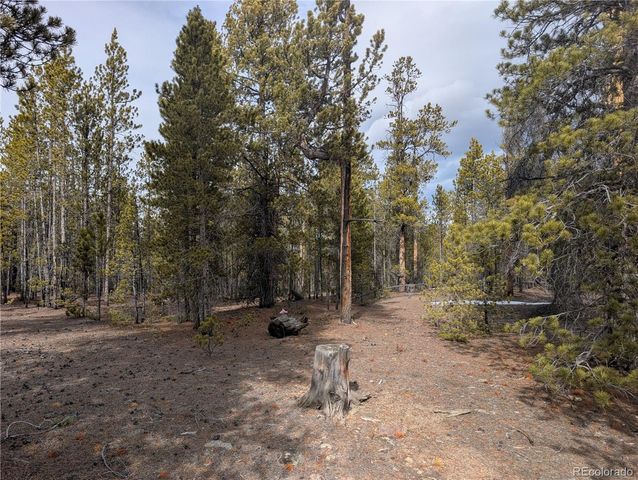 179 Cedar Drive, Twin Lakes, CO 80461