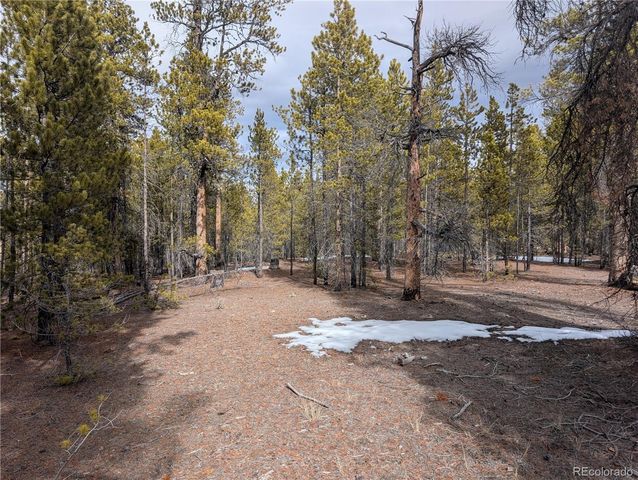 179 Cedar Drive, Twin Lakes, CO 80461