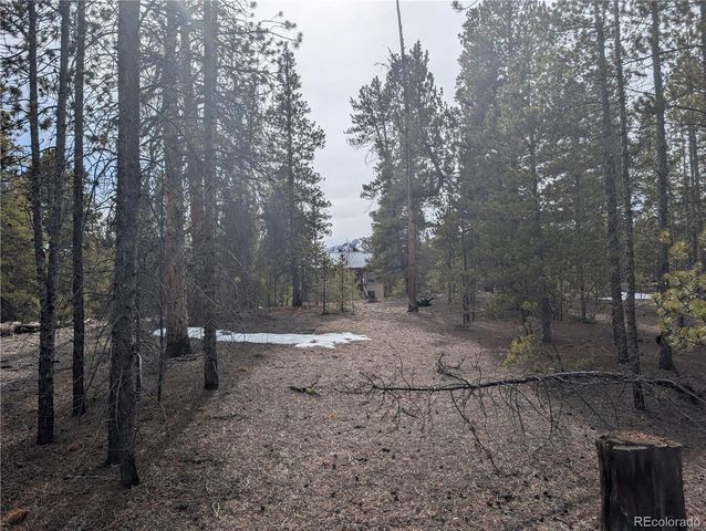 179 Cedar Drive, Twin Lakes, CO 80461