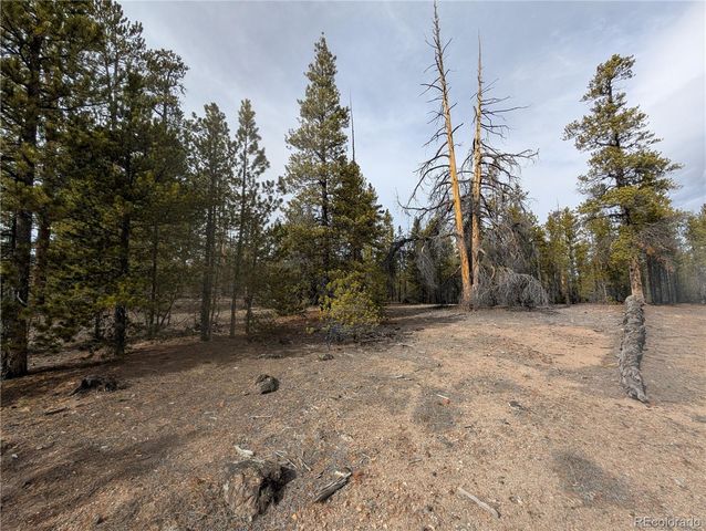 179 Cedar Drive, Twin Lakes, CO 80461