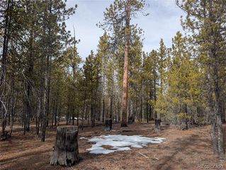 179 Cedar Drive, Twin Lakes, CO 80461