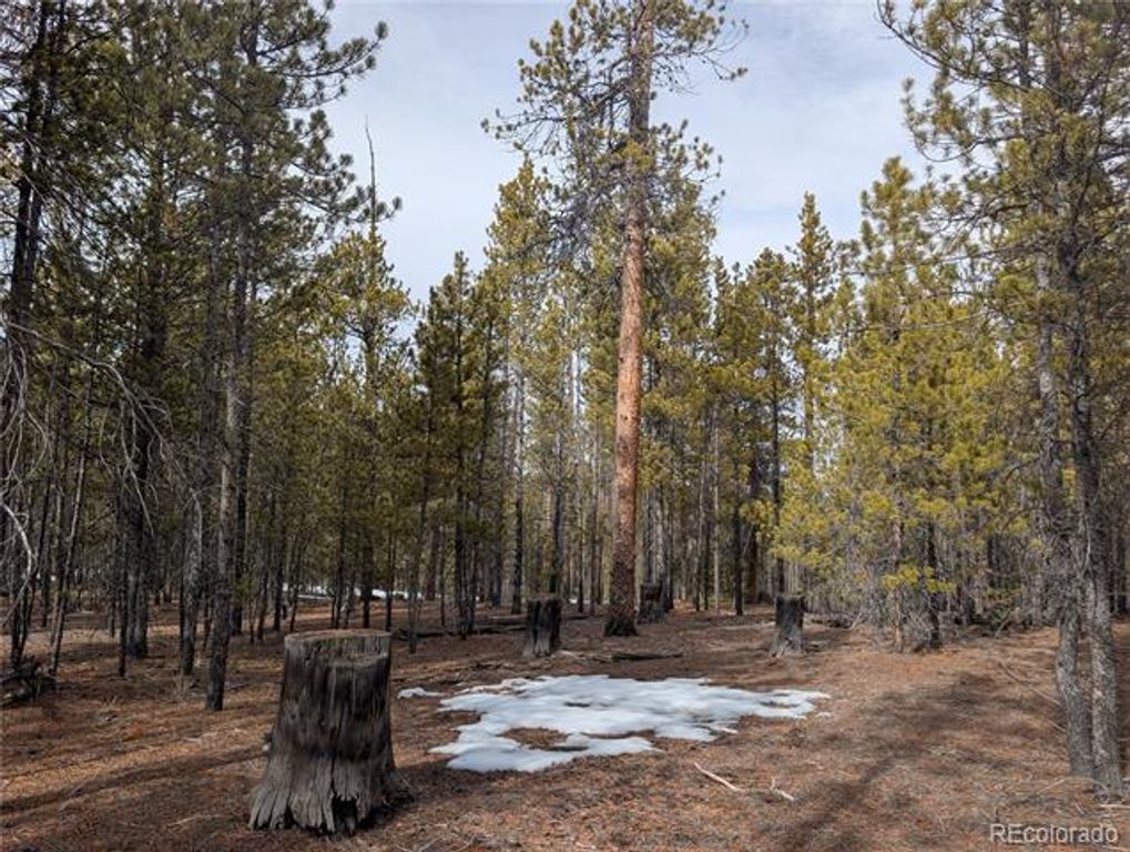 179 Cedar Drive, Twin Lakes, CO 80461