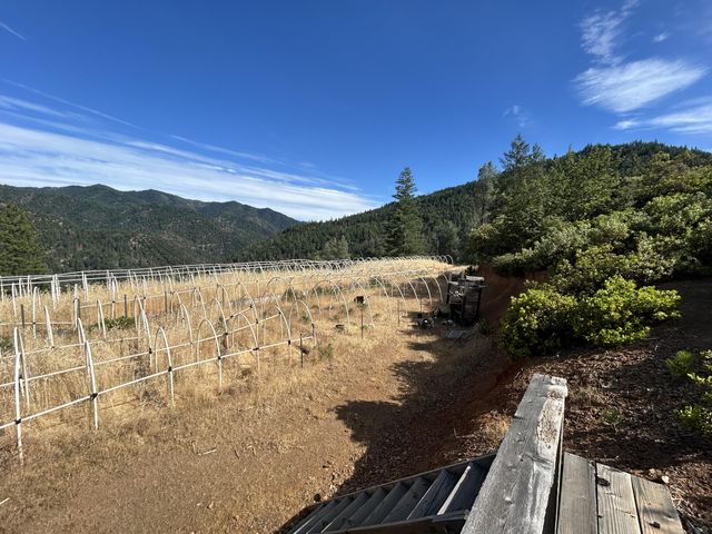 8916 Reading Creek Road, Douglas City, CA 96024