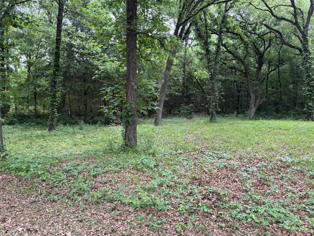 TBD Torama Street, Quinlan, TX 75474