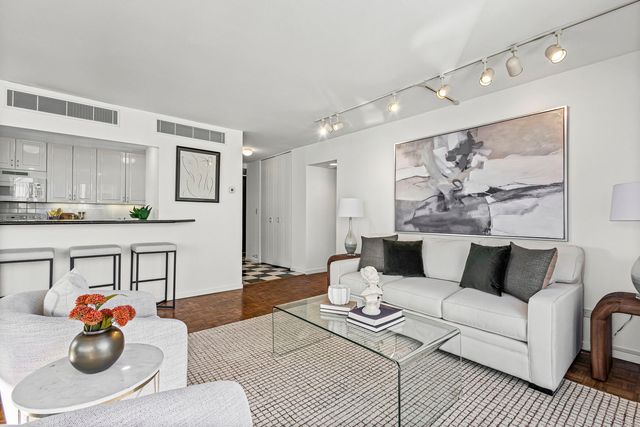 1310 N Ritchie Court 24BC, Chicago, IL 60610